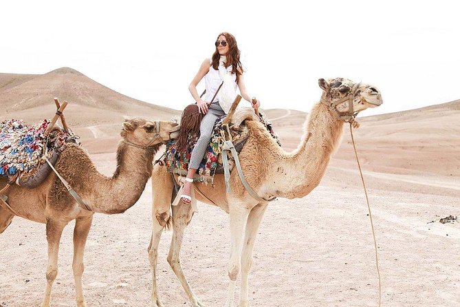 Marrakech: Desert Agafay & Atlas Mountains Day Trip & Camel Ride - Transport comfort, group size, and how the day stays manageable
