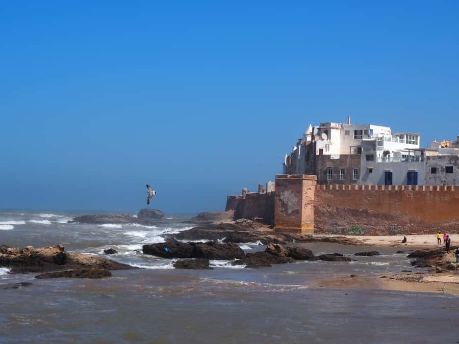 Marrakech: Essaouira Day Trip with Transfers and Co-op Visit - Key things to know before you go