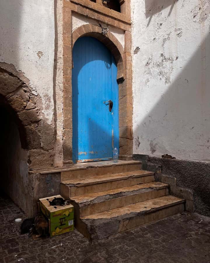 Marrakech: Essaouira Day Trip with Transfers and Co-op Visit - How long you’ll actually spend there (and why it’s enough)