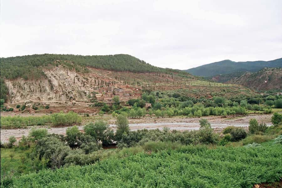 Marrakech: Ourika Valley and Atlas Mountains Day Trip - Lunch break: tagine and river-side setting, with mixed quality reports