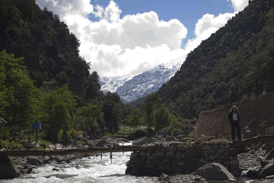 Marrakech: Ourika Valley and Atlas Mountains Day Trip - Price and logistics: why $7 feels almost unreal