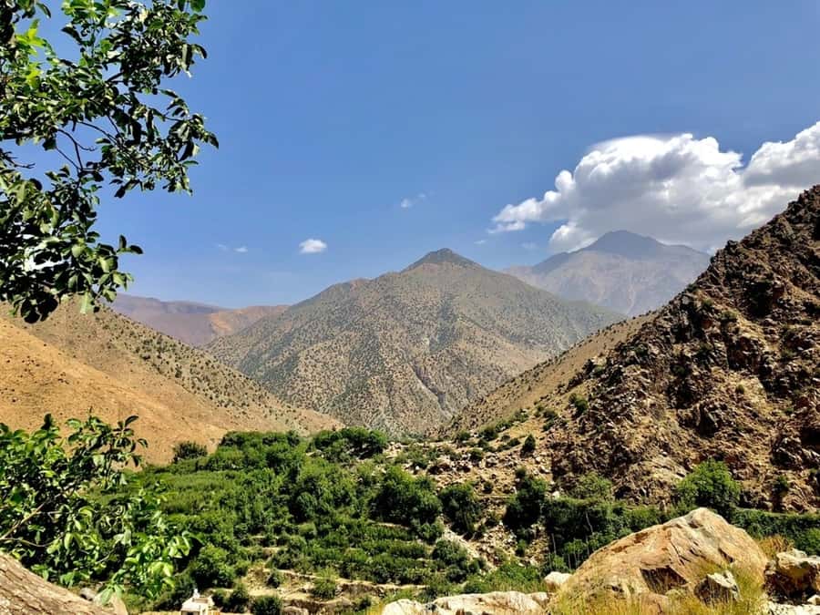 Marrakech: Ourika Valley & Atlas Mountains Half-Day Trip - Optional 30-Minute Walk in the Atlas: Easy Time Outdoors