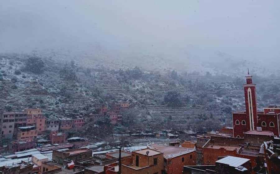 Marrakech: Ourika Valley Day Trip with Berber Village - Price and Logistics for a $10 Marrakech Day Trip (What You Get)