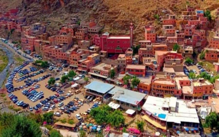 Marrakech: Ourika Valley Day Trip with Berber Village - Who Should Book This Ourika Valley and Berber Village Tour