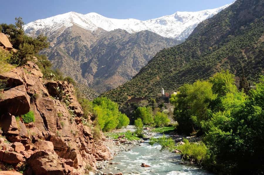 Marrakech: Ourika Valley Waterfalls & Atlas Mountains Trip - Argan oil cooperative: more than a souvenir stop