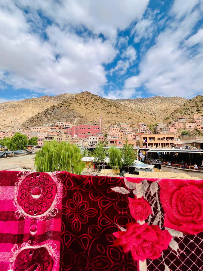 Marrakech: Ourika Valley Waterfalls & guided hike - Price and value: why $10 can work if you manage expectations