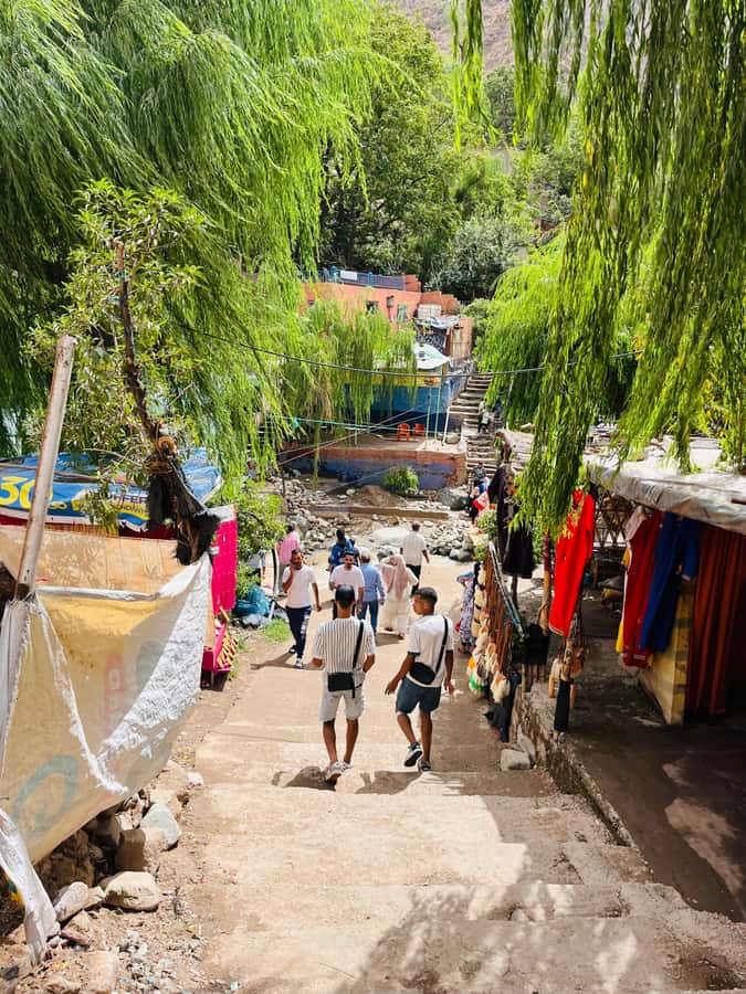 Marrakech: Ourika Valley Waterfalls & guided hike - Guides and drivers: the real secret sauce