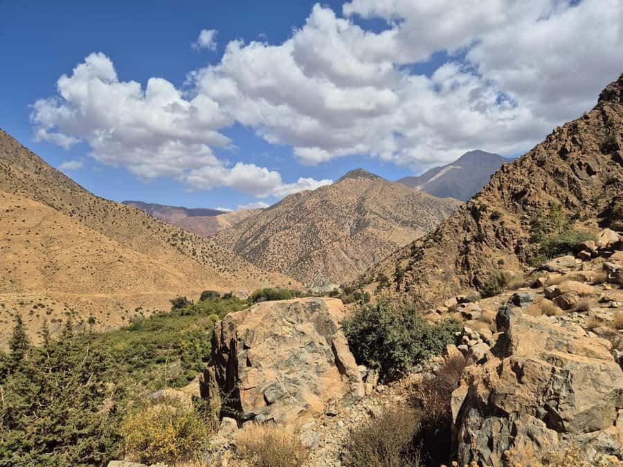 Marrakech: Ourika Valley, Waterfalls Private Trip with Lunch - Key highlights worth centering on