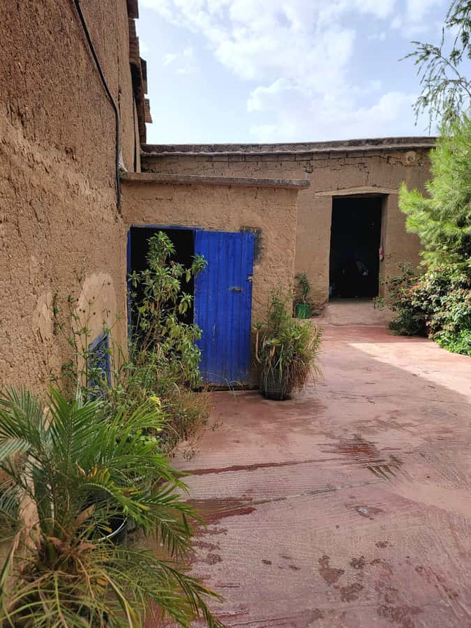 Marrakech: Ourika Valley, Waterfalls Private Trip with Lunch - Price and value: is $79 per person actually fair