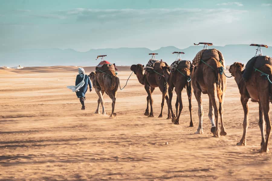 Marrakech to Zagora Desert: 2-Day trip via Ait Benhadou - Desert camp reality: dinner, music, tents, and how the night is paced