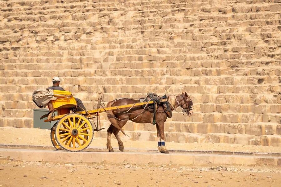 Marsa Alam: Ancient Cairo & Giza Pyramids Day Trip by Plane - Lunch and downtime: how to avoid the tired-traveler trap
