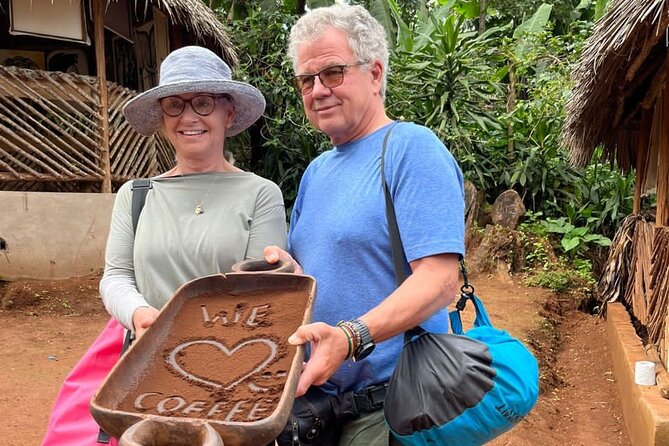 Materuni waterfalls coffee tour & Chemka hot springs Day trip - Price, value, and who this trip suits best