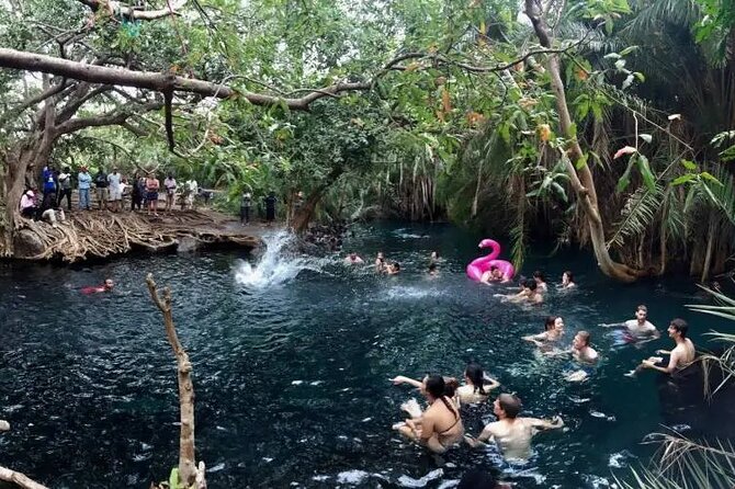 Materuni waterfalls coffee tour & Chemka hot springs Day trip - What to do before you go (to avoid common headaches)