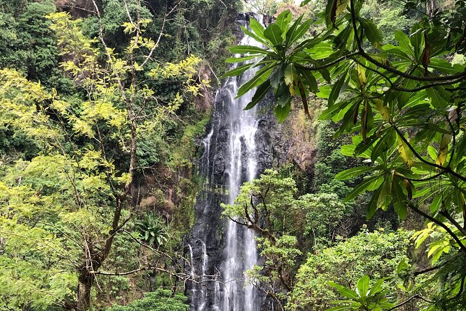 Materuni waterfalls coffee tour & Chemka hot springs Day trip - FAQ