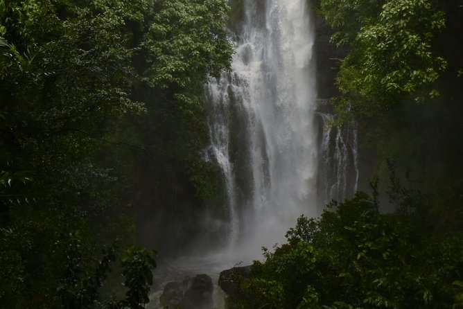 Maui Shore Excursions : Road to Hana With Pickup & Lunch - Bamboo and waterfalls near Hana Highway: the “under-bridge” moment