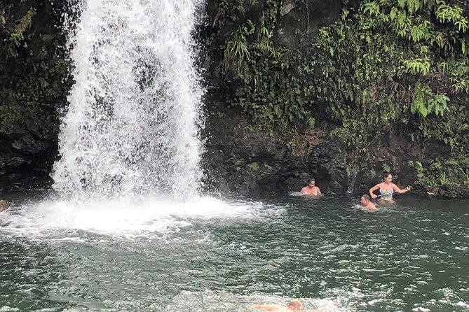 Maui Tour : Road to Hana Day Trip from Kahului Lunch, Water, Chip - Why the Road to Hana Works Best from a Van