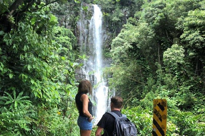 Maui Tour : Road to Hana Day Trip from Kahului Lunch, Water, Chip - Ho‘okipa and Pa‘ia: Wind, Turtles, and Maui’s South Shore Vibe