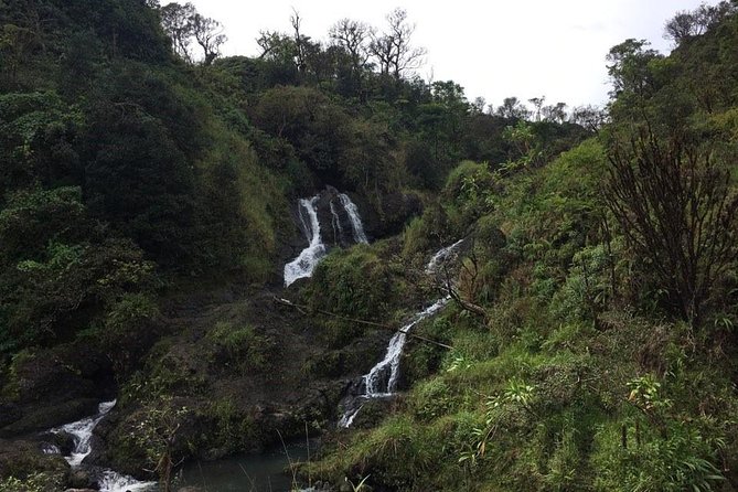 Maui Tour : Road to Hana Day Trip from Kahului Lunch, Water, Chip - Wai‘anapanapa State Park: Freshwater Caves and Black Sand Time
