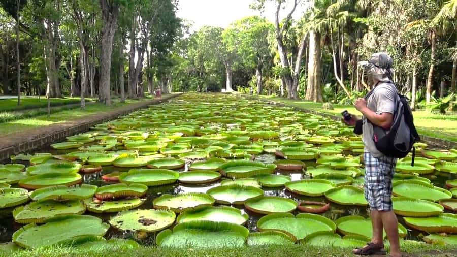 Mauritius: Port Louis and Northern Highlights Full-Day Trip - Price and What You Really Get for $64