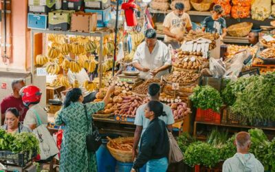 Mauritius: Port Louis and Northern Highlights Full-Day Trip - Starting the Day: Pickup Across the Island and a Traffic-Proof Route