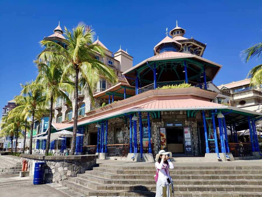 Mauritius: Port Louis and Northern Highlights Full-Day Trip - Pamplemousses Botanical Garden: Your Break From Heat and Traffic