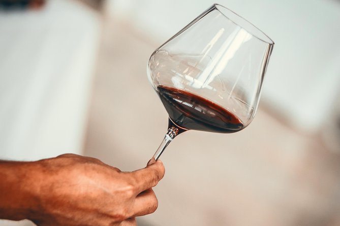 Medoc Region Wine Day Trip with Vineyard Visits & Tastings from Bordeaux - Quick highlights