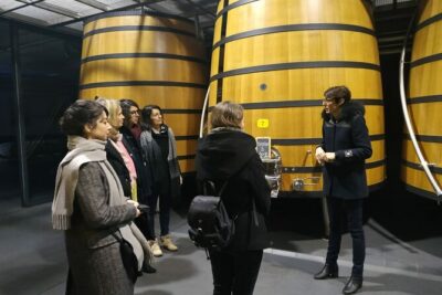Medoc Region Wine Day Trip with Vineyard Visits & Tastings from Bordeaux - Morning drive and the first château tasting in Margaux or St. Julien