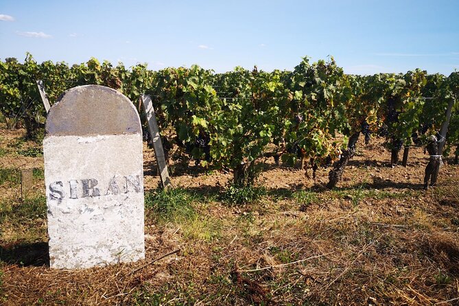 Medoc Region Wine Day Trip with Vineyard Visits & Tastings from Bordeaux - Price and value: what $266 gets you (and why it can be fair)