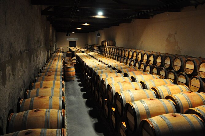 Medoc Region Wine Day Trip with Vineyard Visits & Tastings from Bordeaux - Comfort and pace: van time, group size, and tasting rhythm