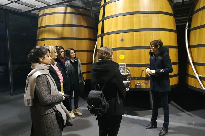 Medoc Region Wine Day Trip with Vineyard Visits & Tastings from Bordeaux - Morning drive and the first château tasting in Margaux or St. Julien