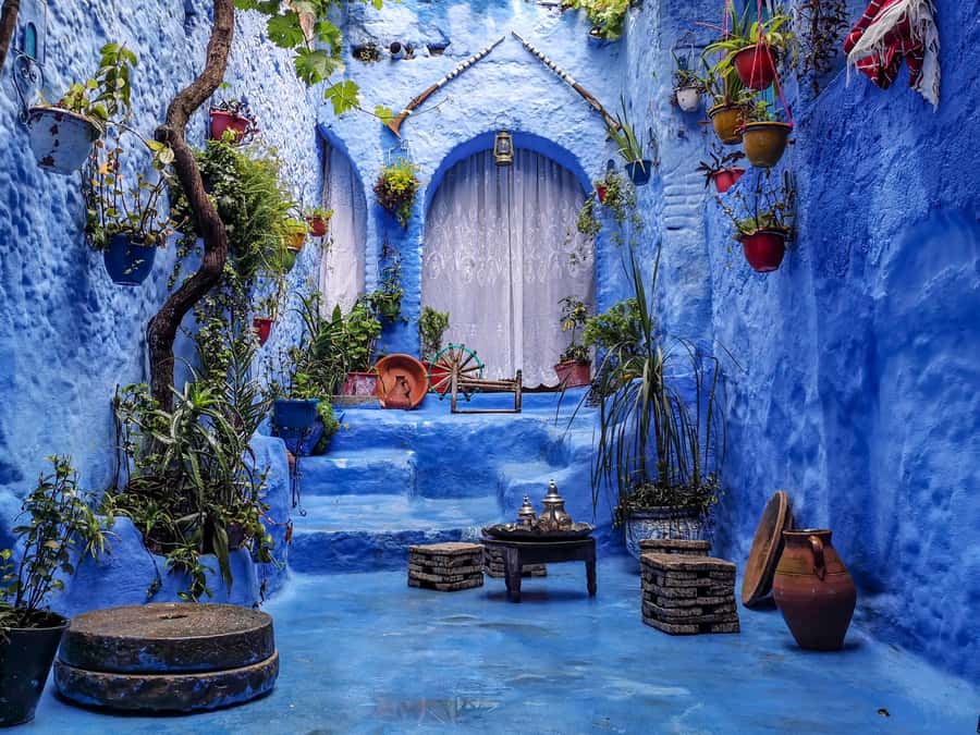 Memorable Day Trip From Fez to Chefchaouen the Blue City - Key things that make this day trip work
