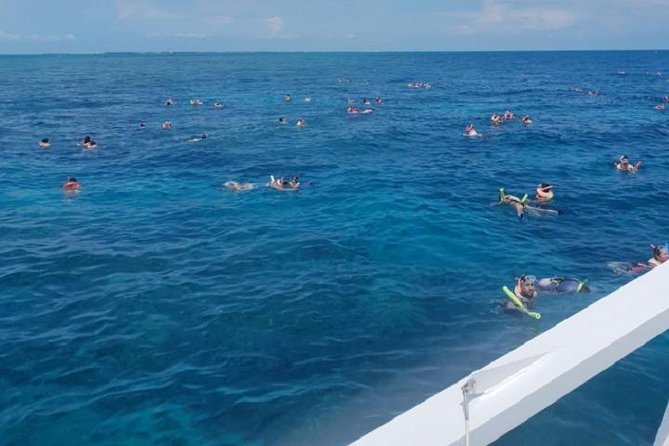 Miami to Key West Day Trip Transportation - Price and value: why $49 feels fair for this route