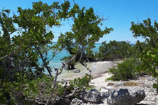 Miami to Key West Day Trip Transportation - Timing and route rhythm: what “15 hours” really means
