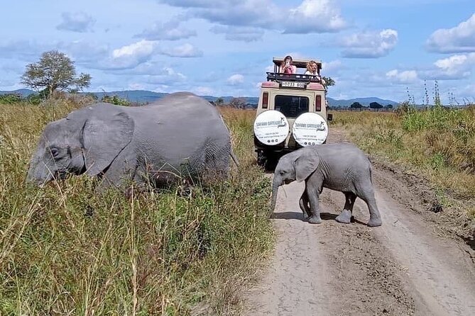 Mikumi Safari Tour: Day Trip Return Flight From Zanzibar - What Makes This Safari Different