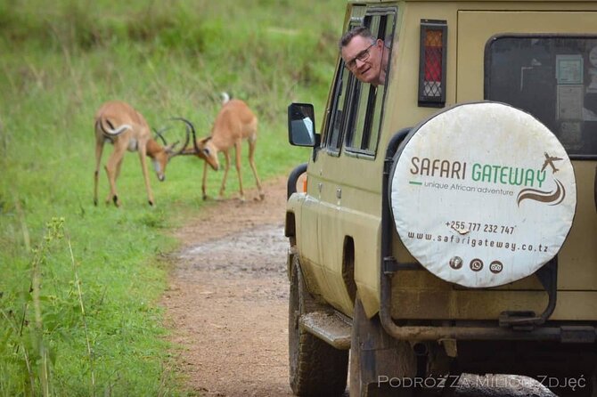 Mikumi Safari Tour: Day Trip Return Flight From Zanzibar - Mikumi National Park: Where You’ll Be Riding and What It Means