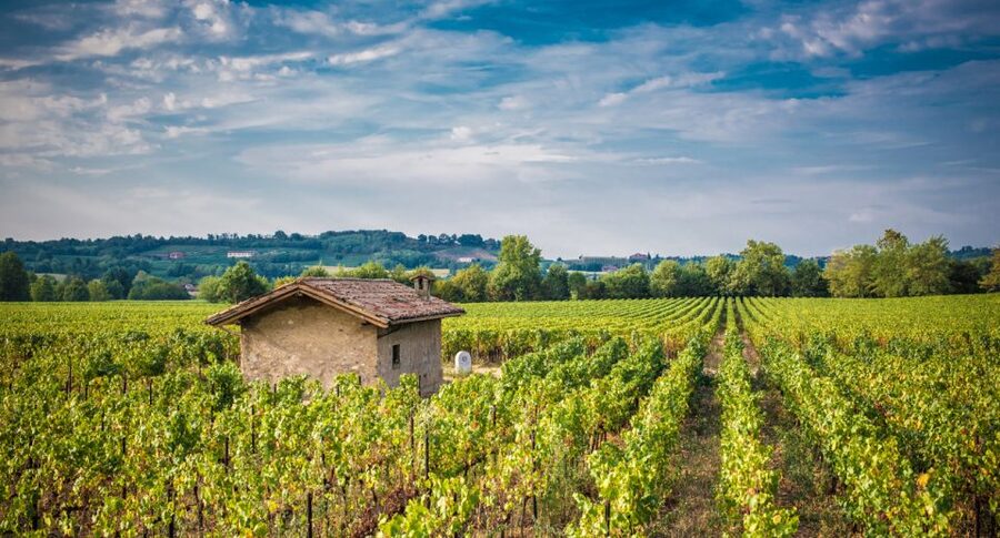 Milan: Franciacorta Winery and Bergamo Day Trip with Lunch - Key highlights worth waking up for