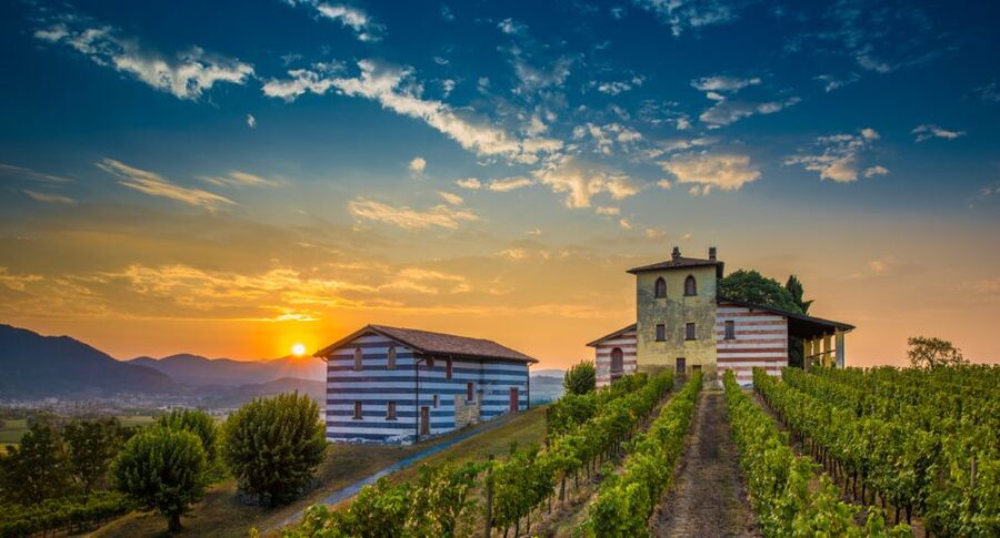 Milan: Franciacorta Winery and Bergamo Day Trip with Lunch - Città Alta Bergamo: 2 hours inside the Venetian walls