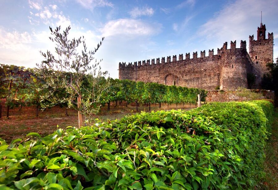 Milan: Franciacorta Winery and Bergamo Day Trip with Lunch - What you’re really paying for: value of $328.53