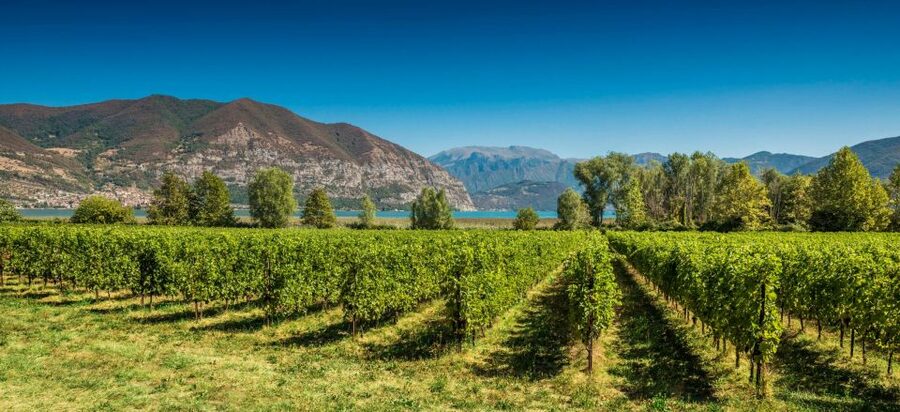 Milan: Franciacorta Winery and Bergamo Day Trip with Lunch - Who should book this day trip (and who should skip it)