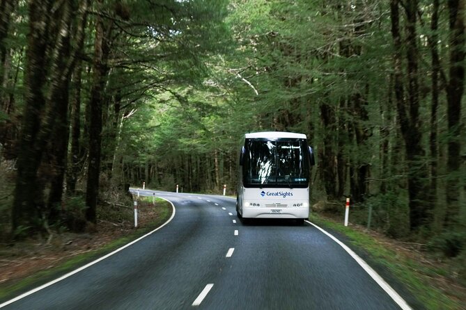 Milford Sound Day Tour from Te Anau - Eglington Valley, Mirror Lakes, Christie Falls: short stops with real visual payoff
