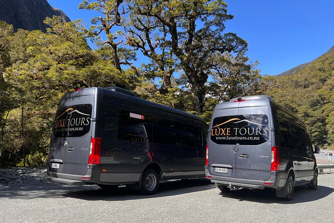 Milford Sound Full Day Tour from Te Anau with Cruise - Milford Sound from Te Anau: what makes this day trip work