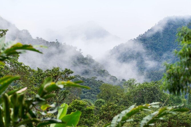 Mindo Cloud Forest Full Day Tour from Quito - Key highlights worth your time