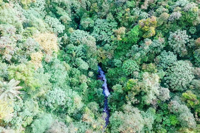 Mindo Cloud Forest Full Day Tour from Quito - Tarabita and the hike to the Nambillo waterfall: the main payoff