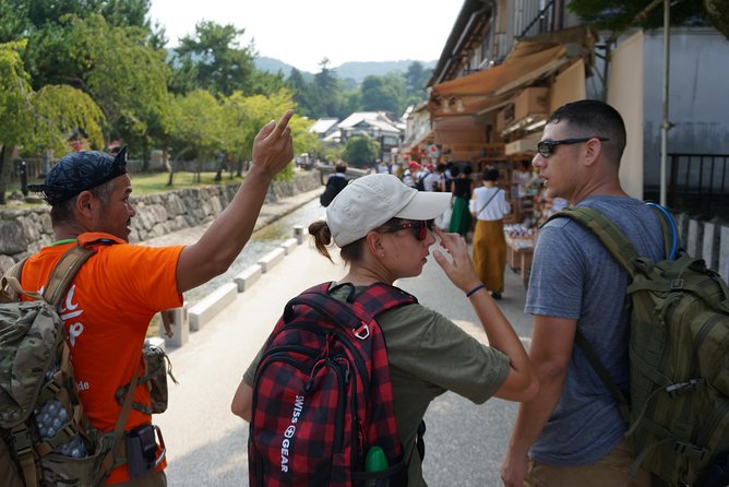 Miyajima Half-day Trip Historical Walking Tour - Senjokaku and Omotesando: sacred ends, food starts