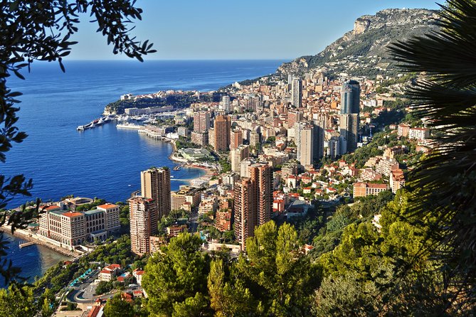 Monaco and Eze Small Group Day Trip from Cannes - From Cannes to Eze: the coast ride that sets the mood
