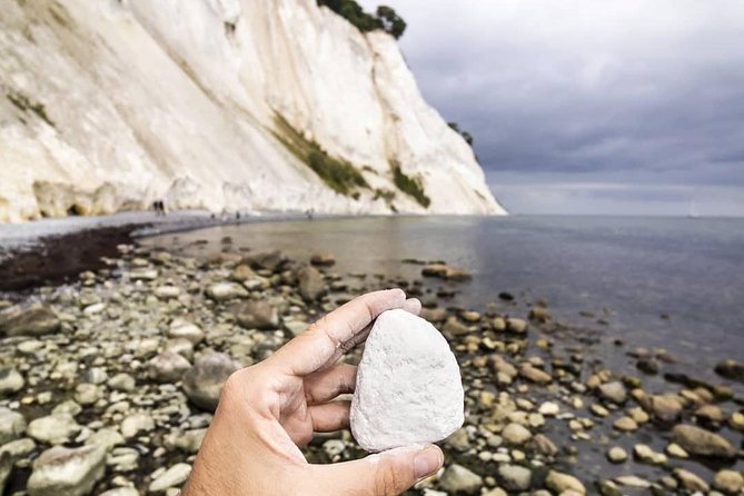 Møns klint and The Forest tower - A day tour from Copenhagen - Road trip details: minibus time, seating, and pacing