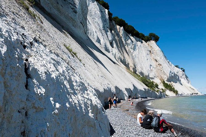 Møns klint and The Forest tower - A day tour from Copenhagen - Price and logistics: what $227.45 buys you