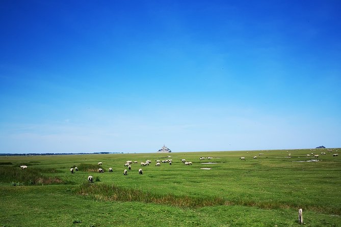 Mont Saint-Michel Day Trip from Bayeux (Shared tour) - Group size, guide style, and why this tour feels manageable