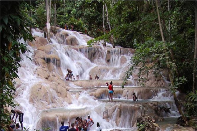 Montego Bay to Dunn's River Falls Half-Day Trip - Key things I’d zero in on before you go