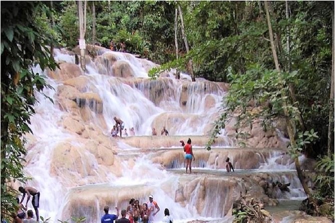 Montego Bay to Dunn's River Falls Half-Day Trip - What the Swim and Terraces Climb Feels Like (and How to Prepare)